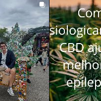 Publicação de @dr_cannab1s no Instagram