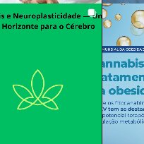 Publicação de @dr_cannab1s no Instagram